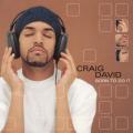 Craig David - Born To Do It (Alernative Front)